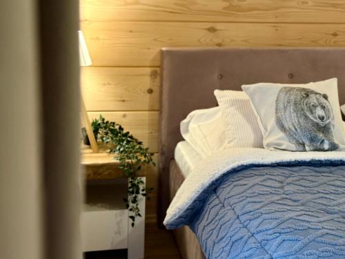 Domki w Białce pod Kotelnicą