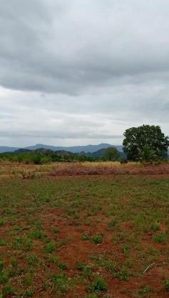 DOP Camp Site Resort