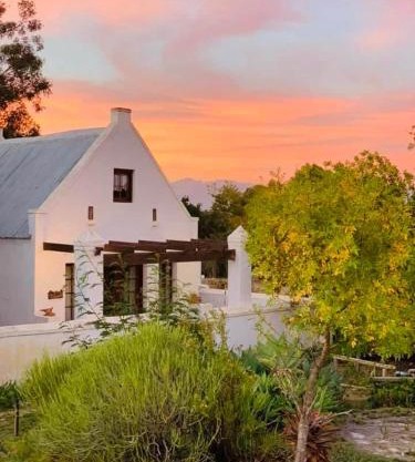 Dove Cottage at Rhebokskraal Olive Estate