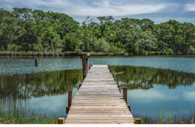 Down on the Bayou #7