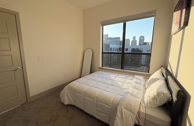 Downtown Dallas Apartment