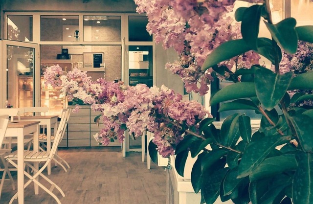 Dream House