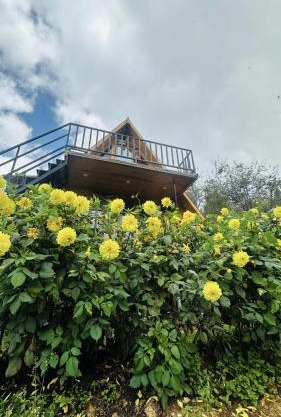 Dreamy Wonders Resorts