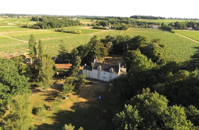 Du Vignoble à l'Atlantique - Château Cassemichère gîte