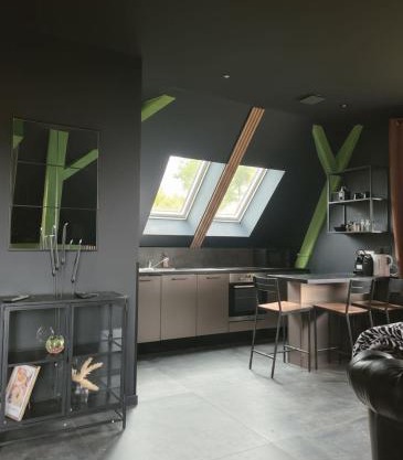 Duplex à Duppigheim à 20 min du marché de Noël