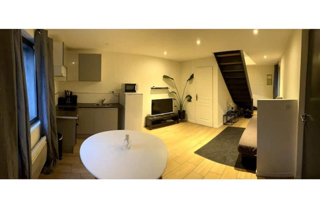 Duplex Proche Zénith, Mégacité, Stade de la Licorne, CHU