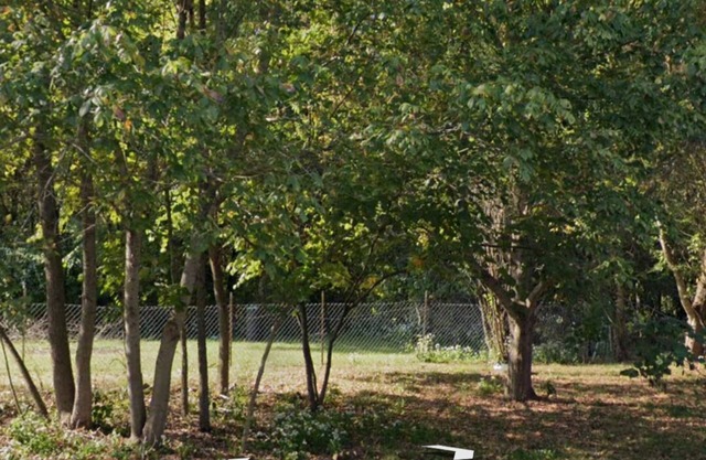 Eclipse Campsite 2