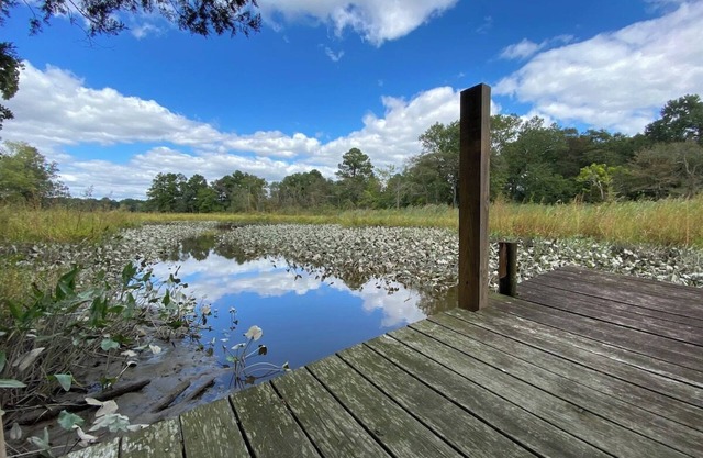 Eden Farm: Private Studio Minutes from Salisbury