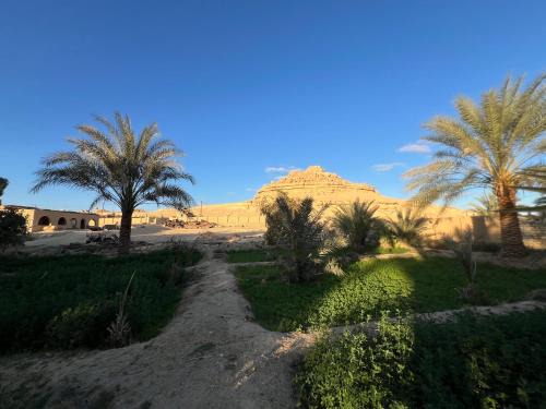 Eeri Siwa Oasis