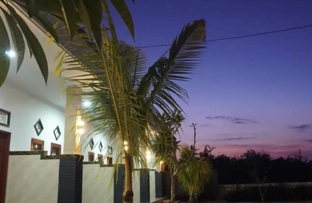 Ega Homestay