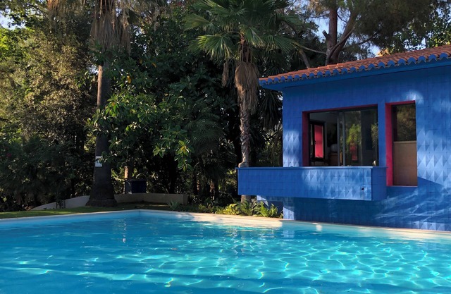 EL BOTANICO DE SAGRA - CASA AZUL PLANTA BAJA