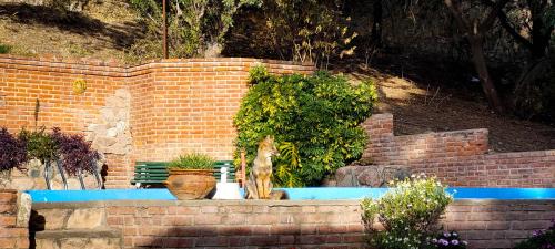 El Solar de los Pájaros