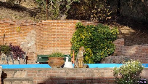 El Solar de los Pájaros