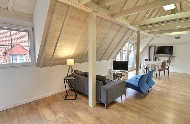 Elegant duplex for 4 with garage in Colmar center