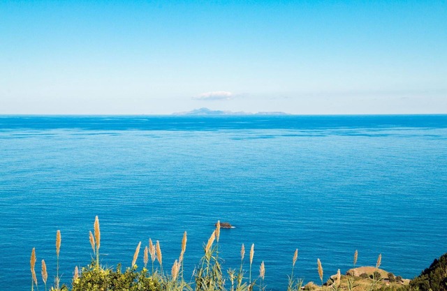 Elegant house in Santana with garden and barbecue