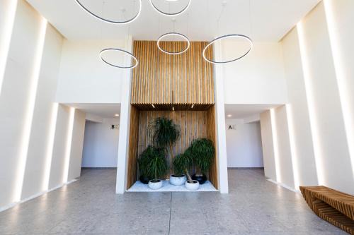 ELINOR Apartments - B25