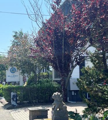 Ellery Hotel Provincetown