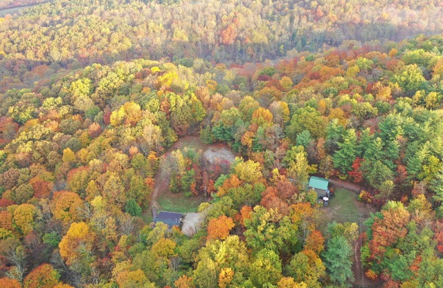 Elwood Loft & Barn: A budget-friendly cabin for 4: Hot tub + 3 horse stalls