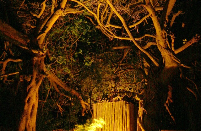 Emdoneni Lodge