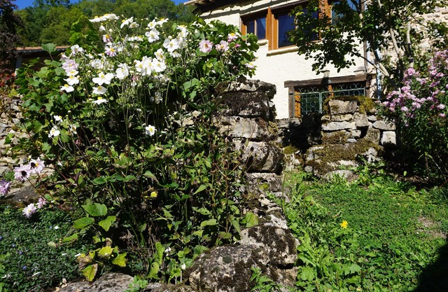 enchanting hamlet house, riverside garden and a terrace.