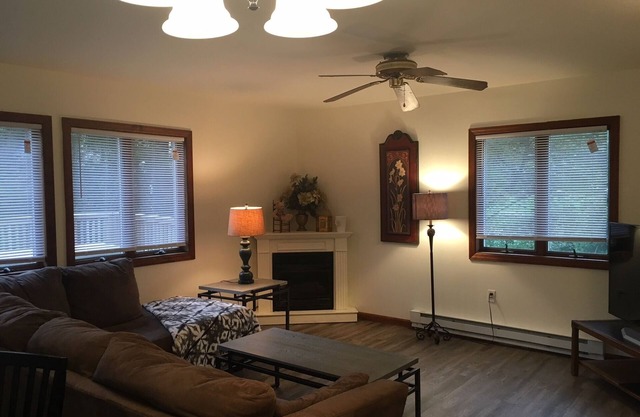 Enjoy Spring Skiing -5 min to Hunter Mtn (now owned by VAIL) 5 BDRM House