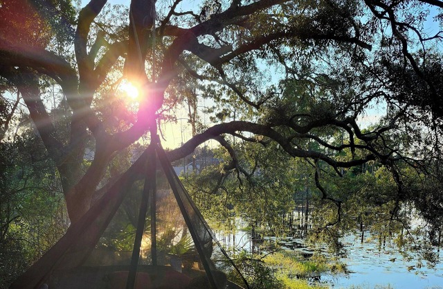 Enjoy unlimited lake views, tranquility and coffee for your sunrise