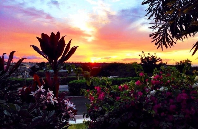 Enjoy viewing the photos of your Hale - home away from home