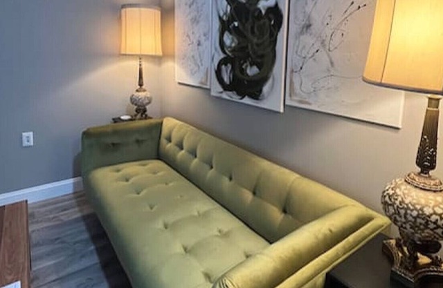 Entire Apartment with King Bed