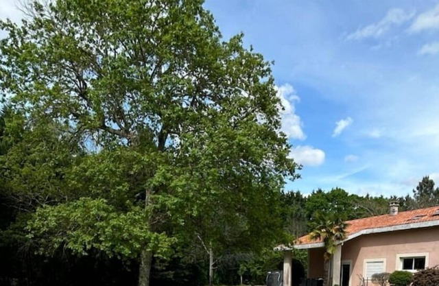 Entre Bordeaux et Arcachon