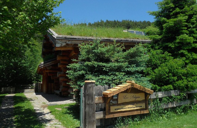 environment friendly log home