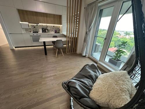 Escale a Iași-apartment