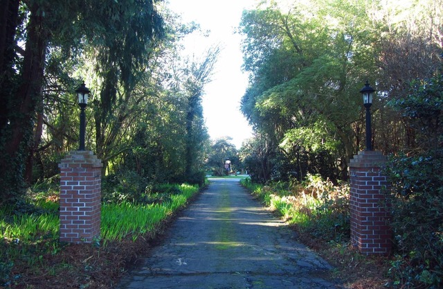 Eureka, Bay Views, Surrounded by Trees. Weddings, Retreats, Reunions, Events too