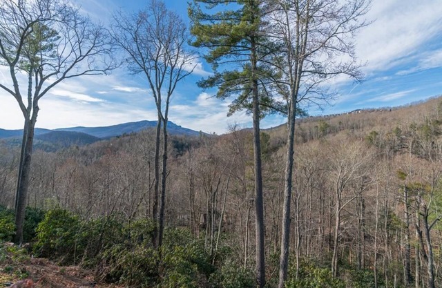 Evergreens 521- 15% DISCOUNT for reservations before June 1st, Mountain Condo, Echota Gated Resor.