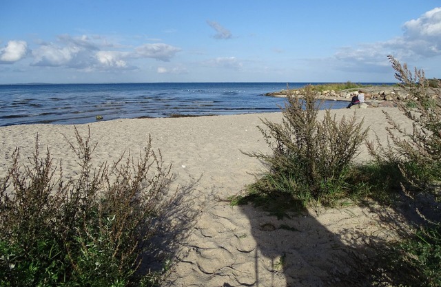 Exclusive 5 star apartment LEE for 2-5 pers, garden, quiet location, 5km to the beach