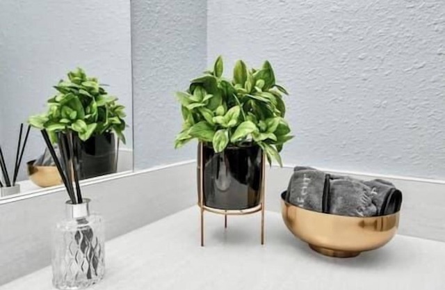 Executive Stay at Kirby Greenway