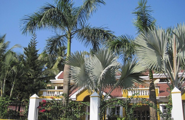Experience the revitalizing Goa - Boutique Villa 600 m from the beach
