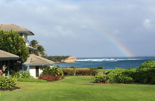 Fabulous Location near Shipwreck Beach and Grand Hyatt Resort