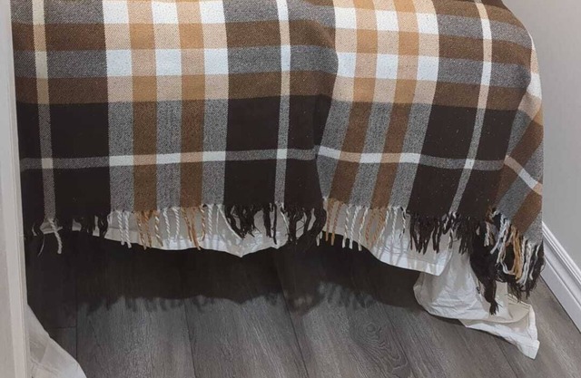 Fabulous walkout basement unit in Newmarket