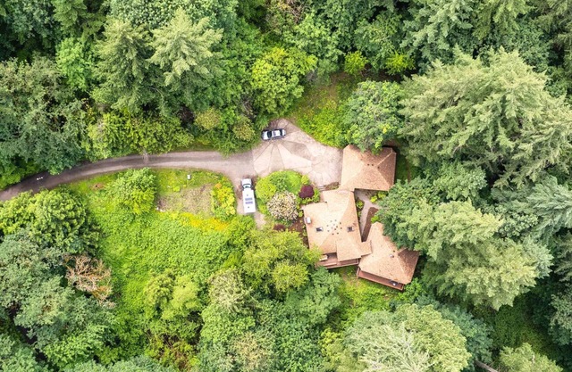 Fall Fall Forest Getaway | Fire Pit, BBQ & Forest Views