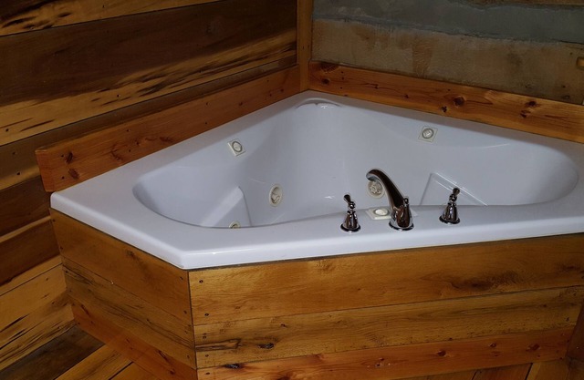 Family cabin with whirlpool tub (cabin #2)