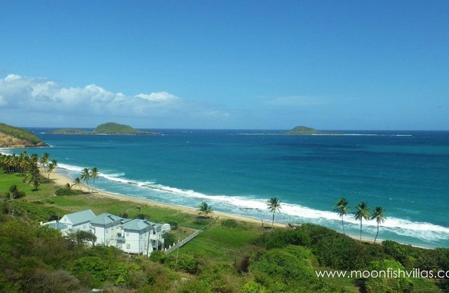 Family Friendly age 8 and up, Oceanfront, Pool, Kitchen. Pelican at Moonfish.
