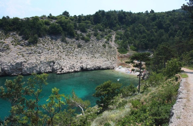 Family friendly house with a swimming pool Garica, Krk (K-19507)