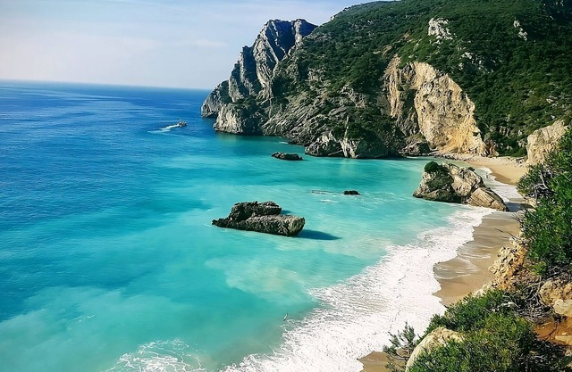 Family Fun: Beachfront Property, Pet-friendly Room, Free Parking!