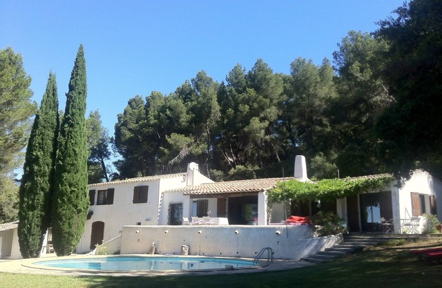 Family home in a pine forest