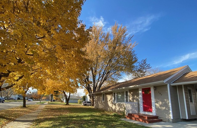 Family ,kids and pets friendly house. Located in Mayo clinic neighborhood.