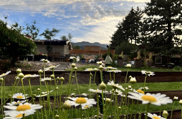 Family & Pet friendly home with HOT TUB! near Broadmoor and OCC!