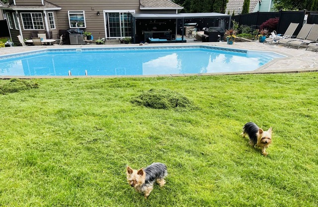 Family vacation house; no parties/events