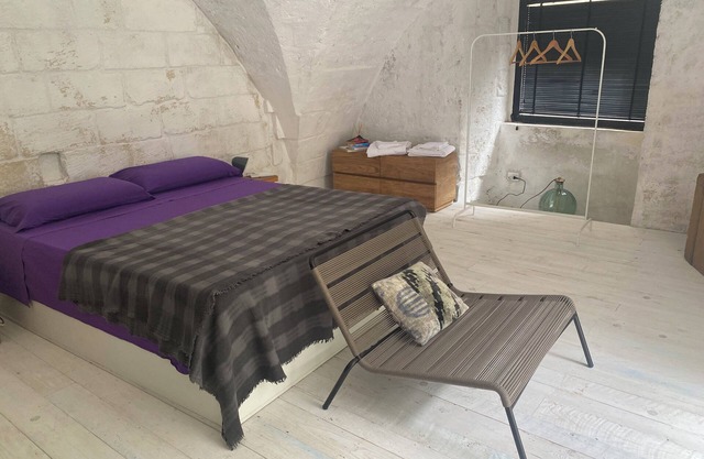 Fancy loft with garden in old Beccherie