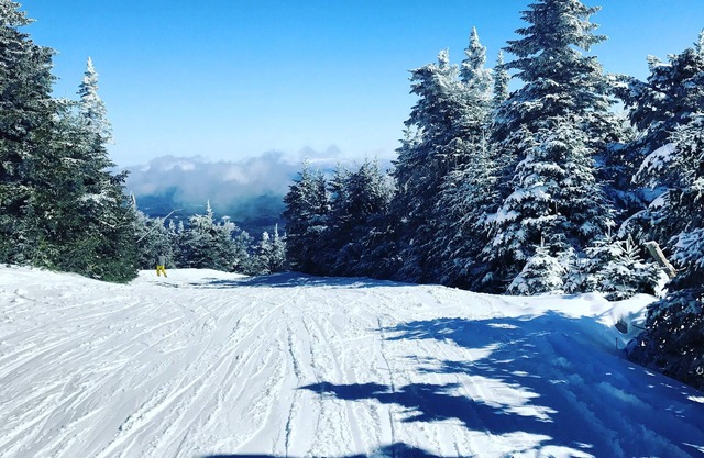 Fantastic Ski & Summer retreat in Londonderry Vermont