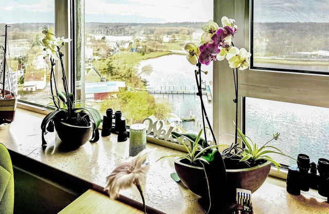 Fantastic vacation apartment in the Viking Tower in Schleswig.